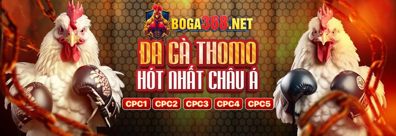 Đá gà trực tuyến kịch tính tại km3888b