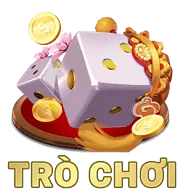 Cá cược bóng rổ